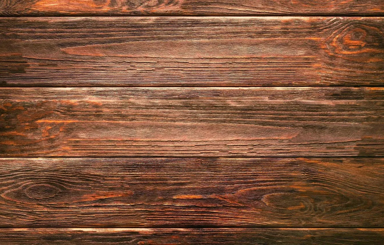 Photo wallpaper trees, background, Board, texture, wood