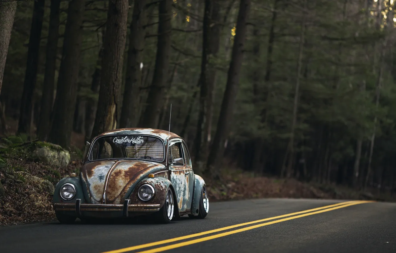 Photo wallpaper Volkswagen, Old, Beetle, Road, Forest, Rusty
