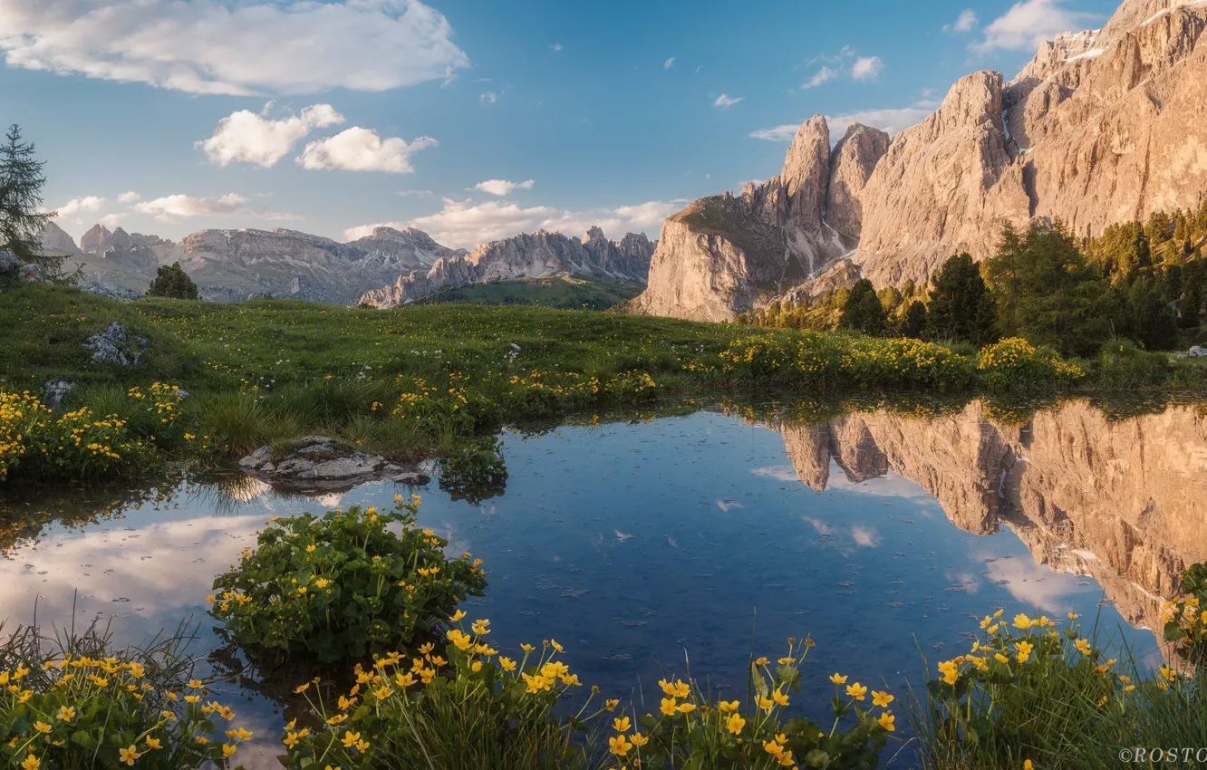 Photo wallpaper the sky, grass, water, landscape, flowers, mountains, nature, spring