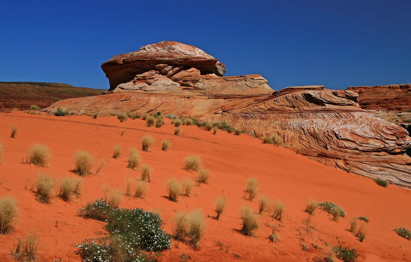 Photo wallpaper AZ, USA, Red Rock, Northern Arizona
