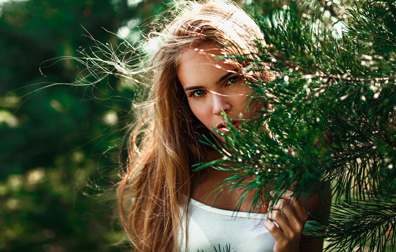 Photo wallpaper Girl, Look, Face, Spruce, Eyes, Beautiful, Alexander Bykov