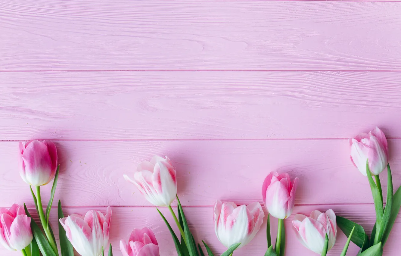 Photo wallpaper flowers, tulips, pink, fresh, wood, pink, flowers, beautiful