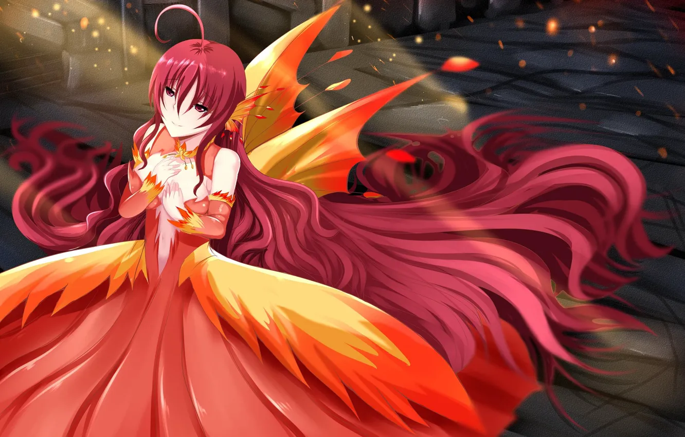 Photo wallpaper girl, wings, fairy