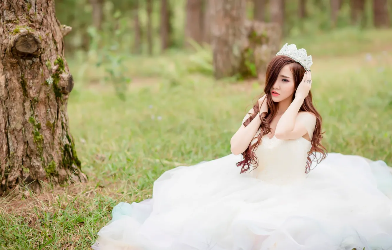 Photo wallpaper forest, girl, Asian, the bride, white dress
