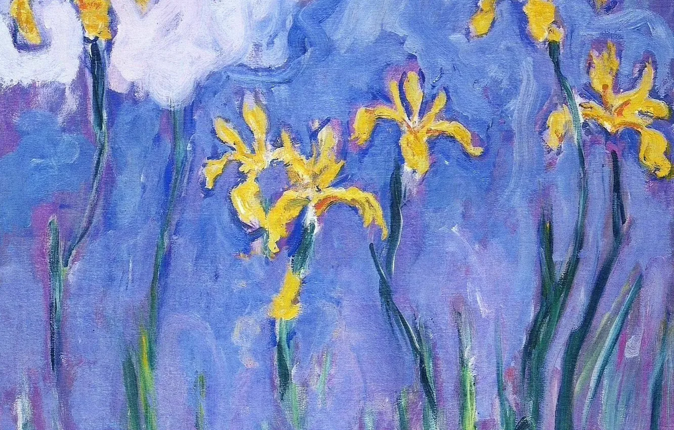 Photo wallpaper flowers, picture, Claude Monet, Yellow Irises with Pink Cloud