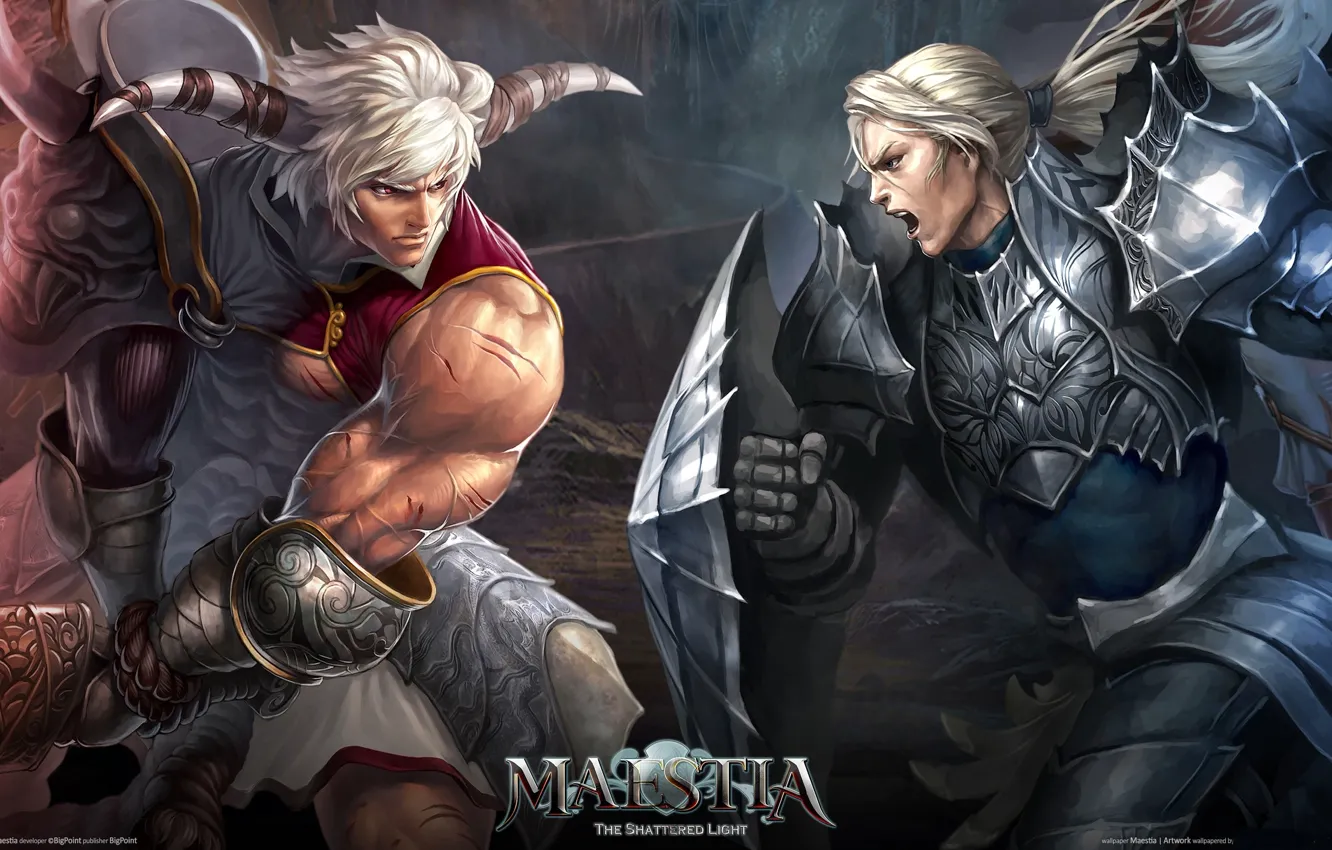 Photo wallpaper weapons, man, warrior, Maestia