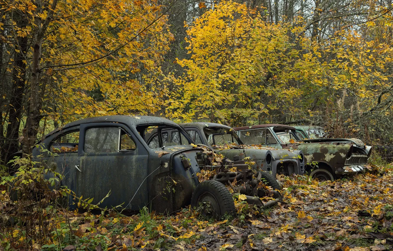 Photo wallpaper autumn, forest, machine