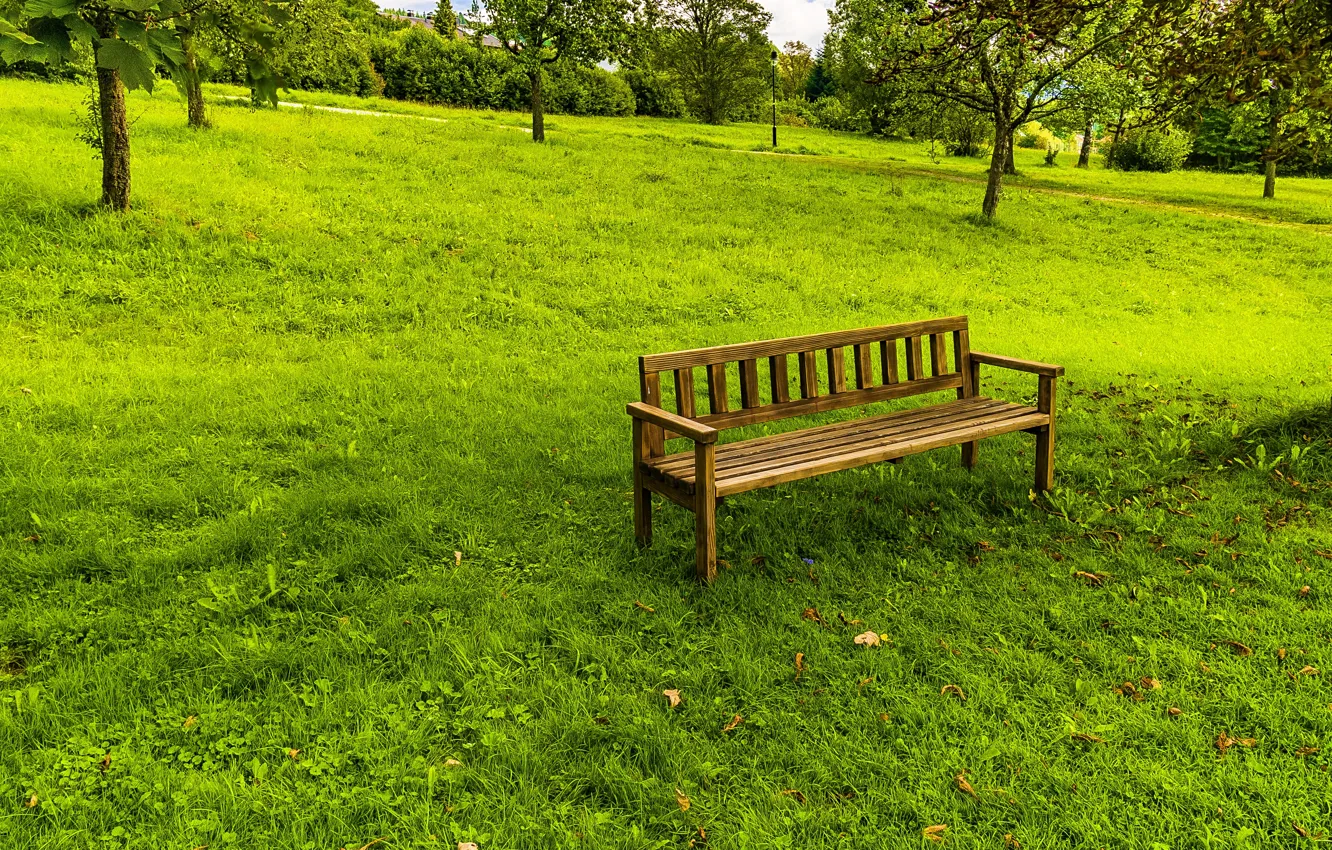 Photo wallpaper grass, trees, nature, Park, shop