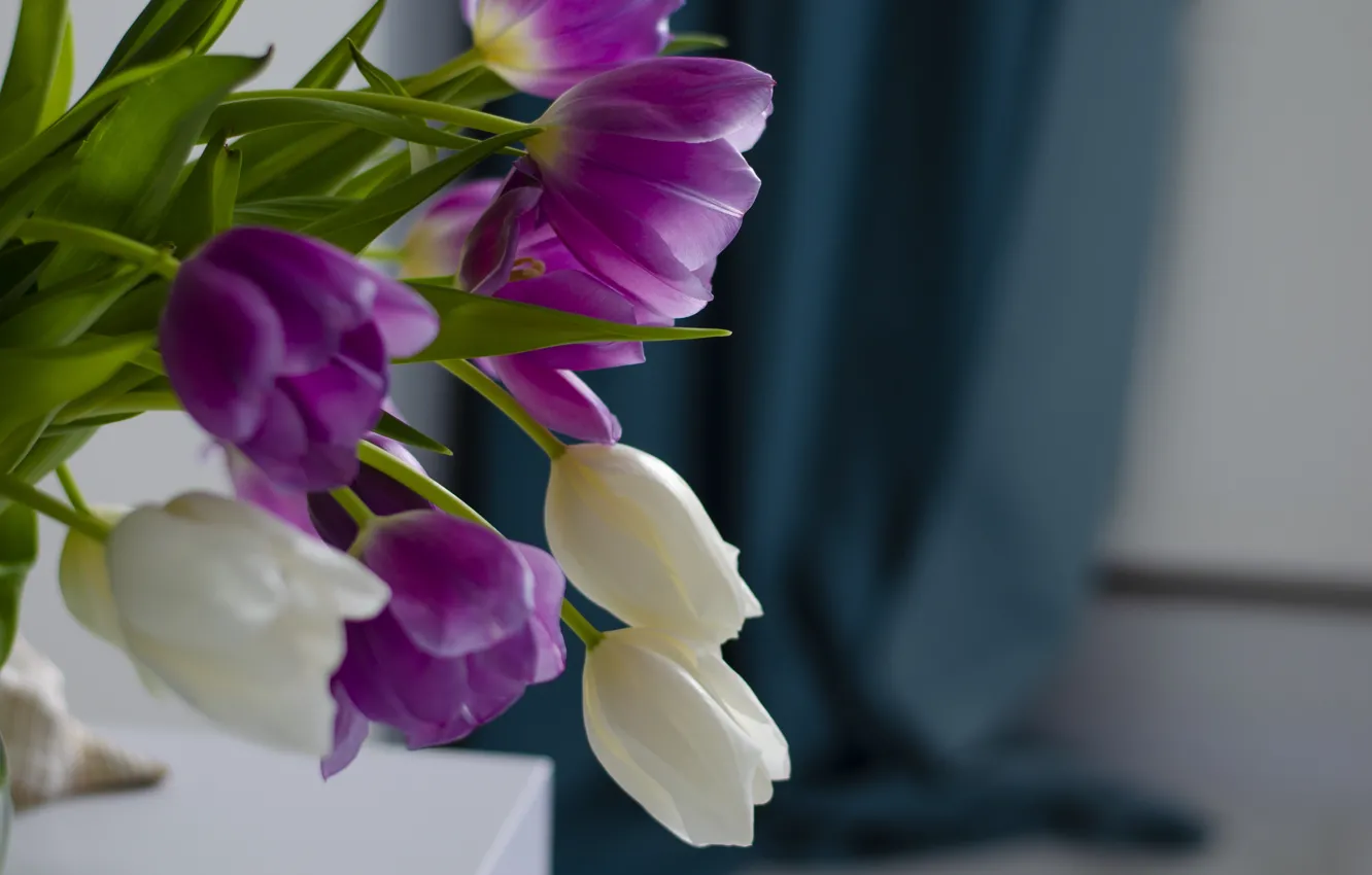 Photo wallpaper table, background, bouquet, purple, tulips, vase, white