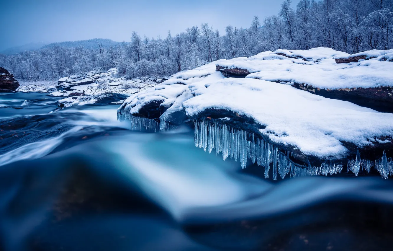 Photo wallpaper winter, forest, snow, trees, river, icicles, Sweden, Sweden