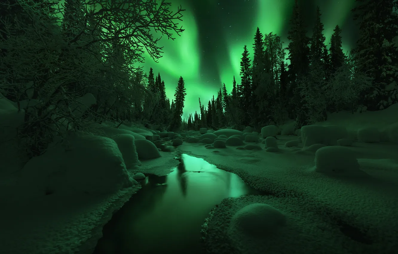 Photo wallpaper snow, trees, night, green, river, beauty, tale, polar lights