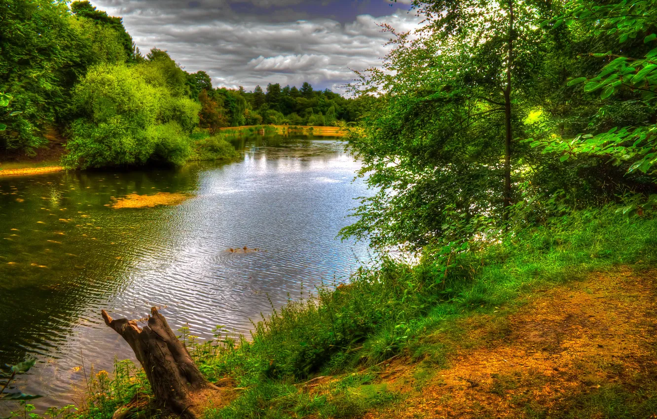 Photo wallpaper greens, trees, lake, Park, England, Nostell