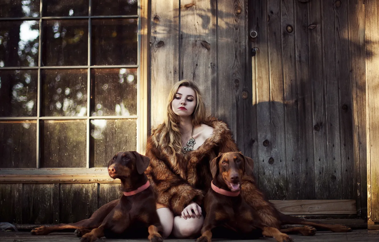 Photo wallpaper girl, home, dog