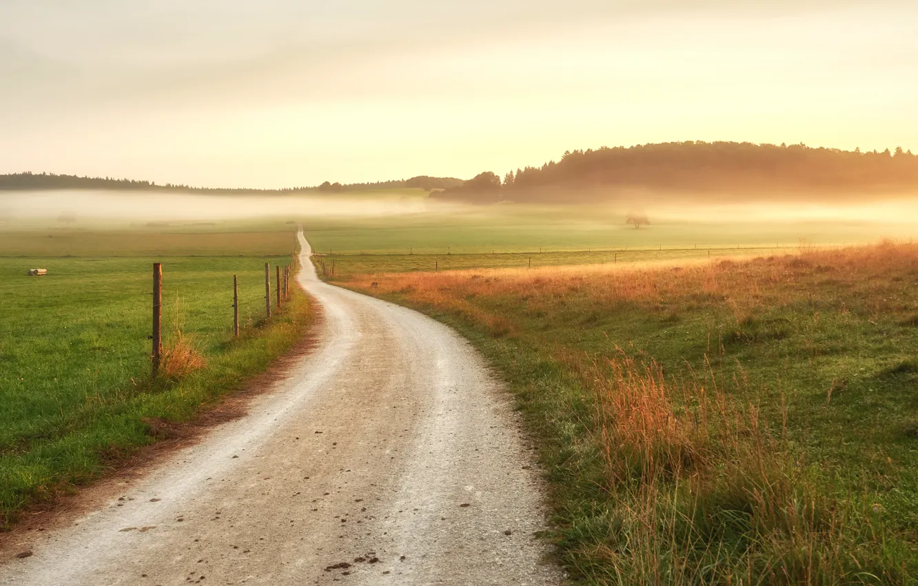 Photo wallpaper road, field, forest, the sky, grass, light, fog, the way