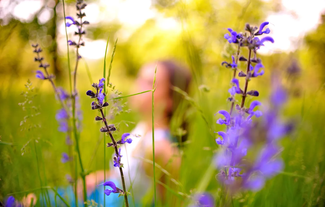 Photo wallpaper greens, grass, flowers, silhouette