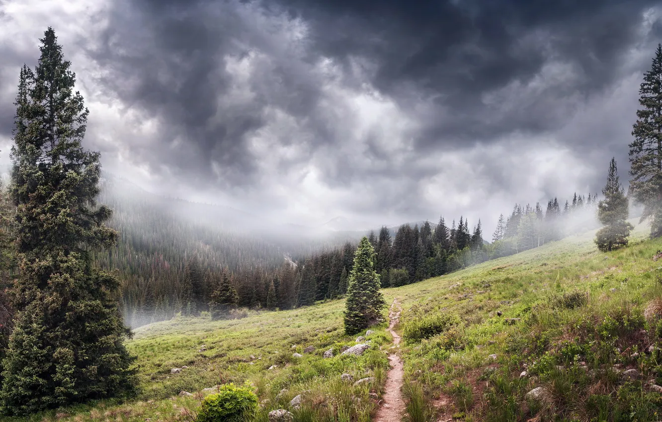 Photo wallpaper landscape, mountains, fog