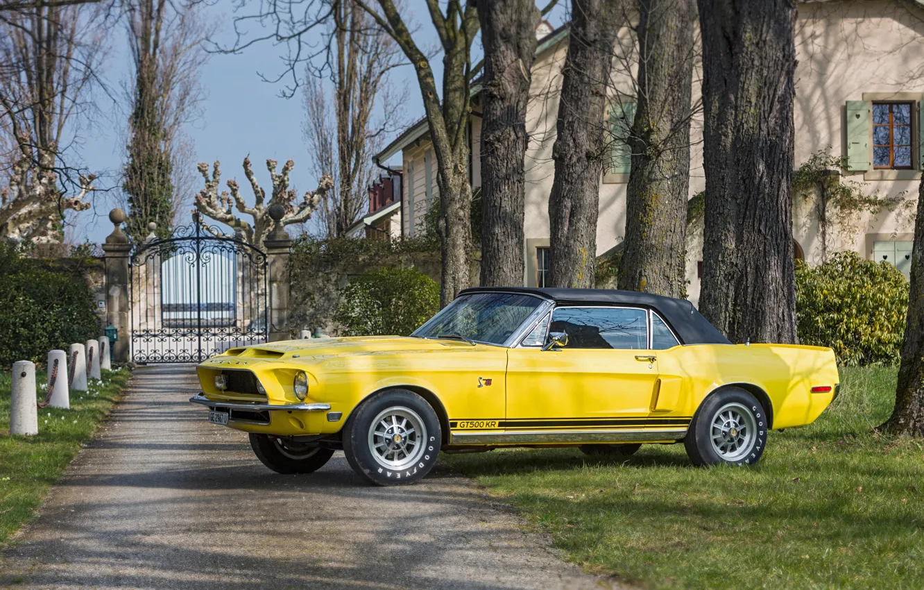 Photo wallpaper Mustang, Ford, Ford Mustang, Front, Yellow, Side, Convertible, GT500 KR