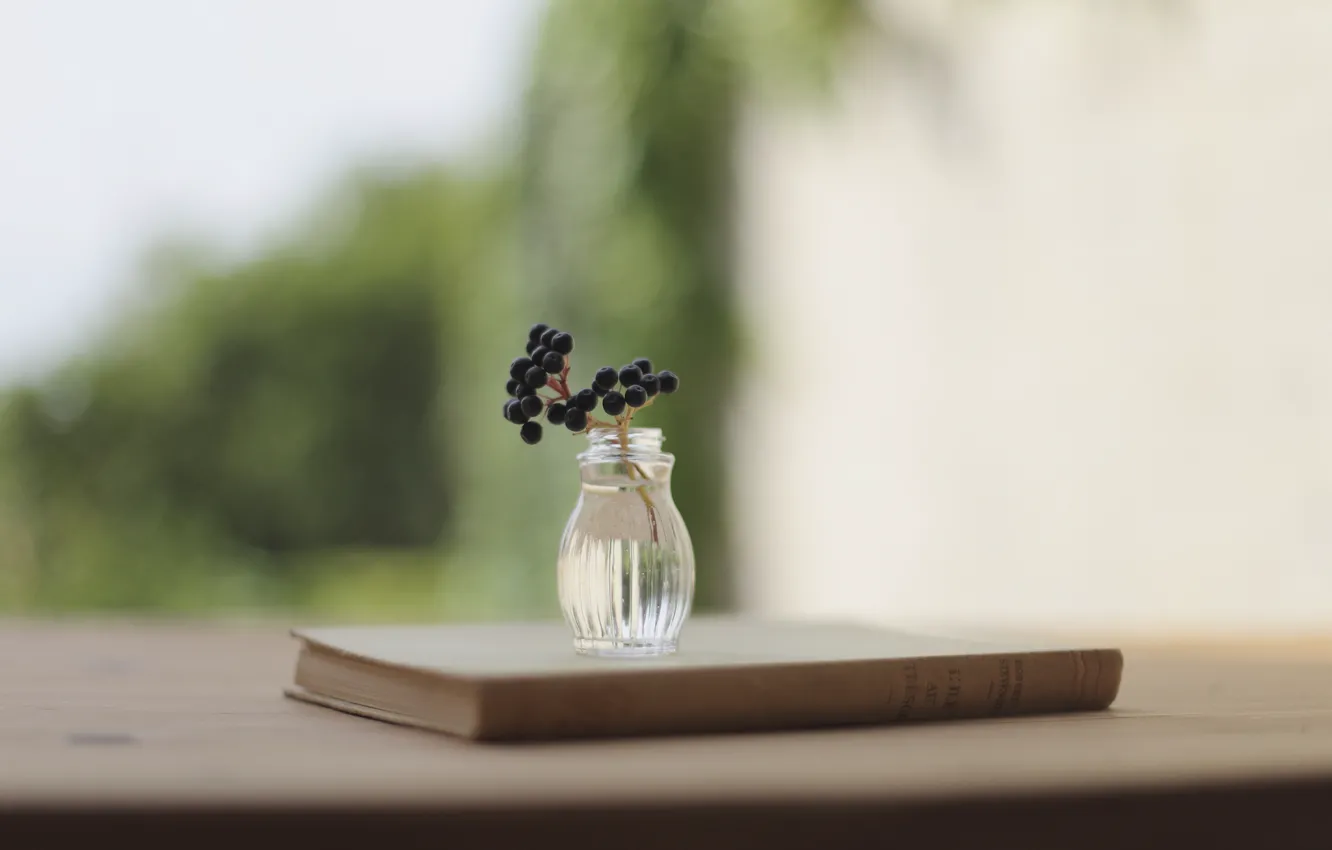 Photo wallpaper berries, background, branch, blur, book, vase