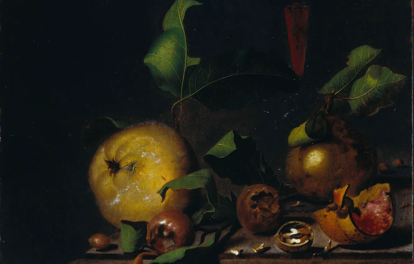 Photo wallpaper tree, oil, picture, The Martinus Nellius, Still life with Pears with Medlars and a Glass