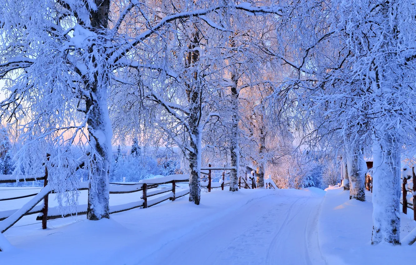 Wallpaper Winter Road Forest The Sky Snow Trees Landscape Nature For Mobile And Desktop