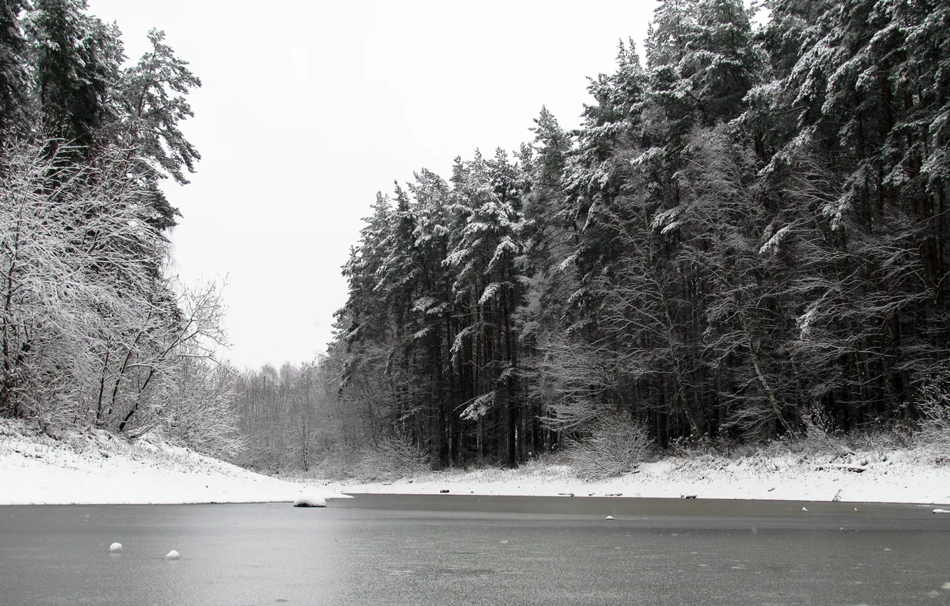 Photo wallpaper winter, forest, snow, nature, pond, pine