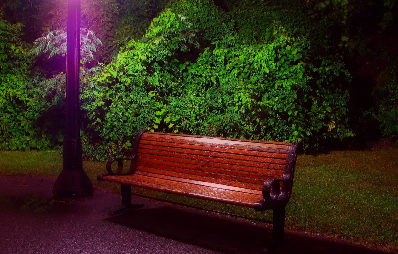 Photo wallpaper light, trees, the evening, lantern, the bushes, bench