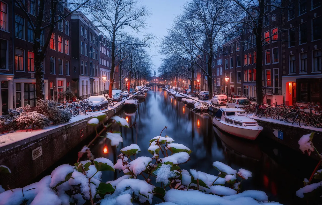 Photo wallpaper winter, light, snow, lights, morning, Amsterdam, channel