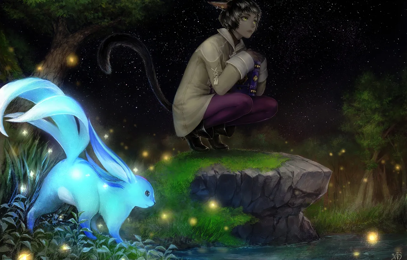 Photo wallpaper the sky, stars, night, animal, anime, art, tail, book