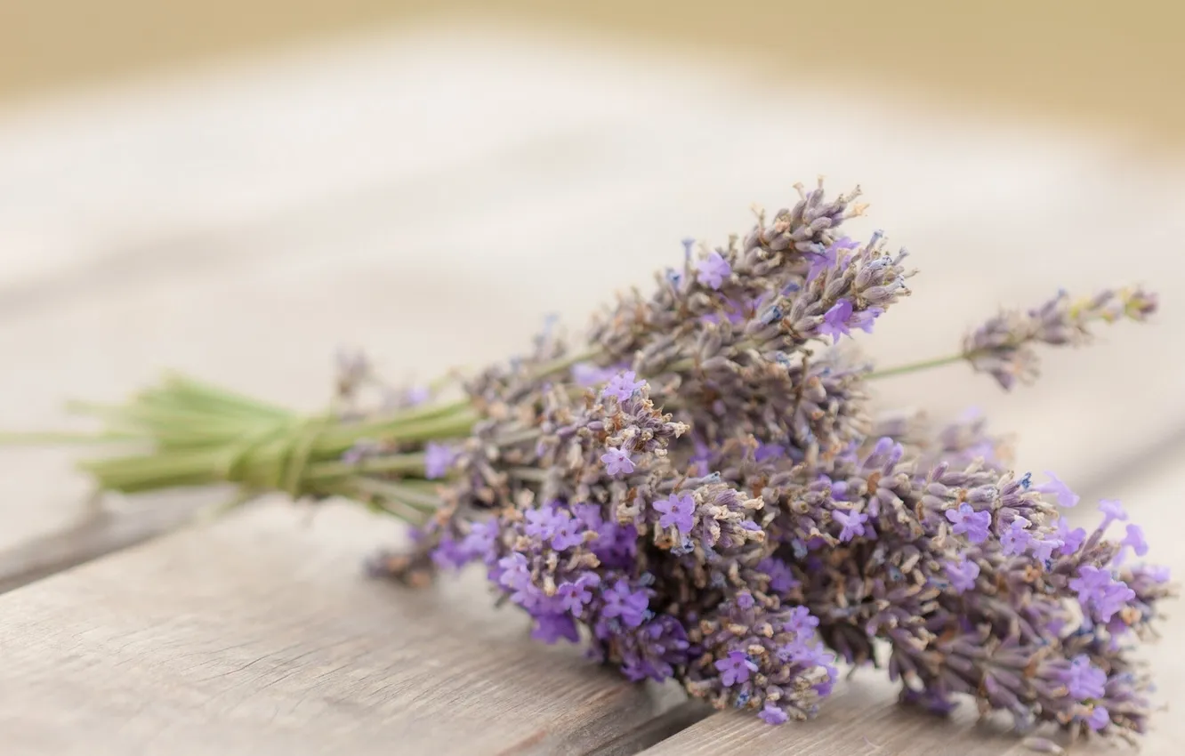 Photo wallpaper Board, bouquet, lavender