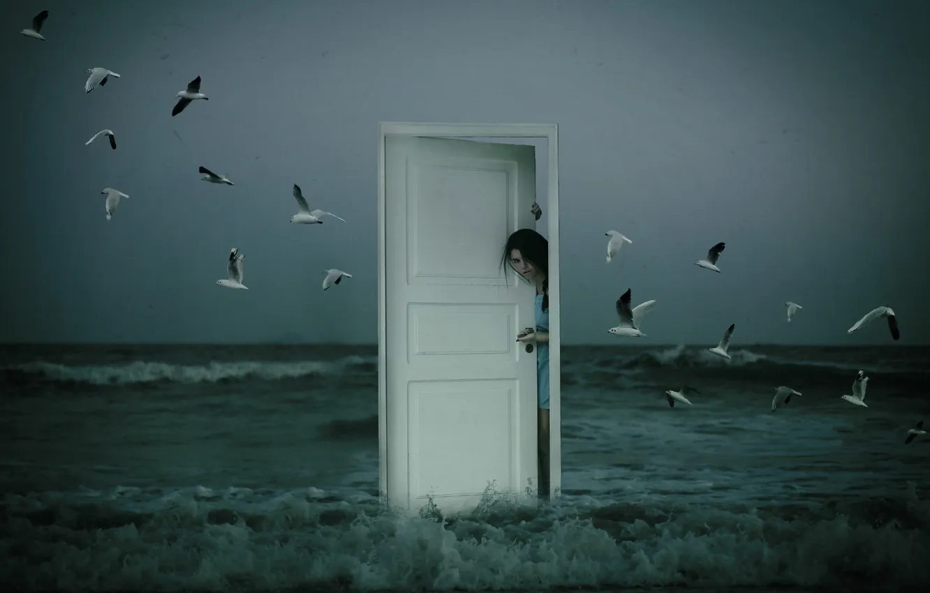 Photo wallpaper sea, girl, birds, the situation, the door