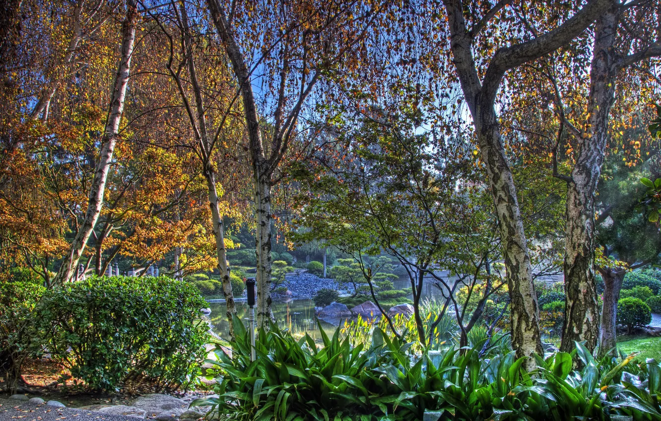Photo wallpaper autumn, trees, pond, Park, stones, HDR, CA, USA