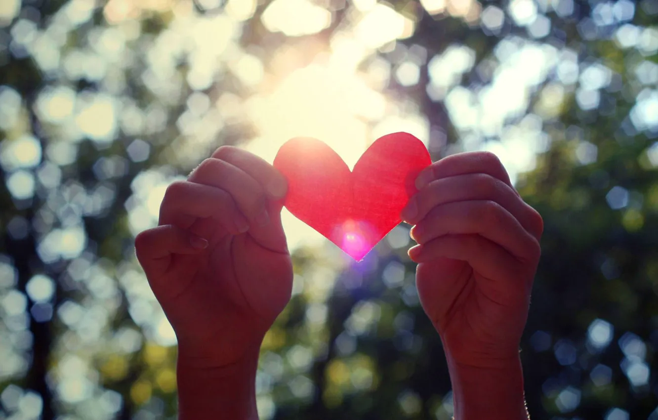 Photo wallpaper heart, hands, Valentine, Valentine's day