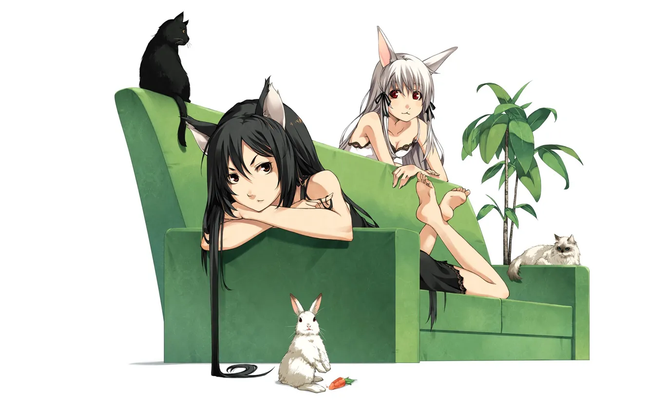 Photo wallpaper carrot, tail, black hair, black cat, lying on the sofa, ficus, white rabbit, neko girl
