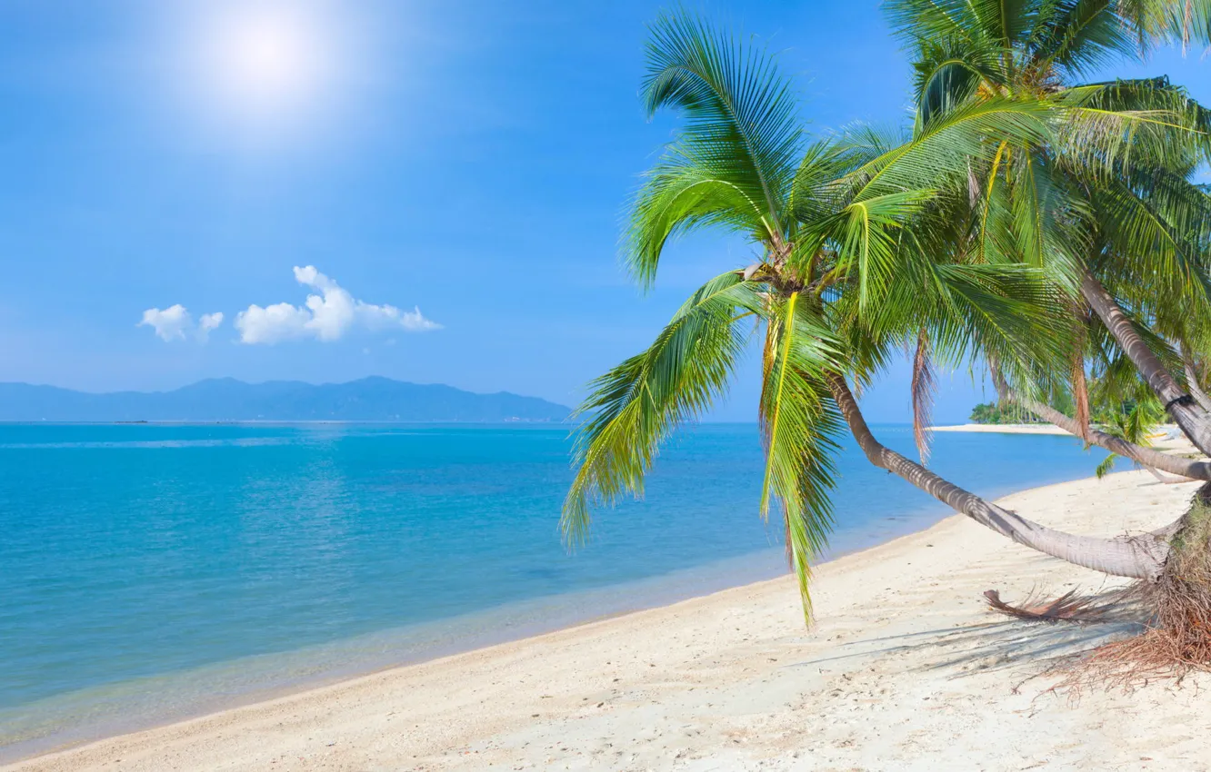 Photo wallpaper sand, beach, palm trees, the ocean