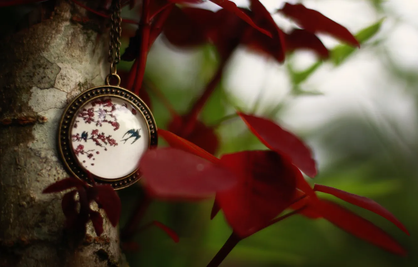 Photo wallpaper medallion, pendant, suspension