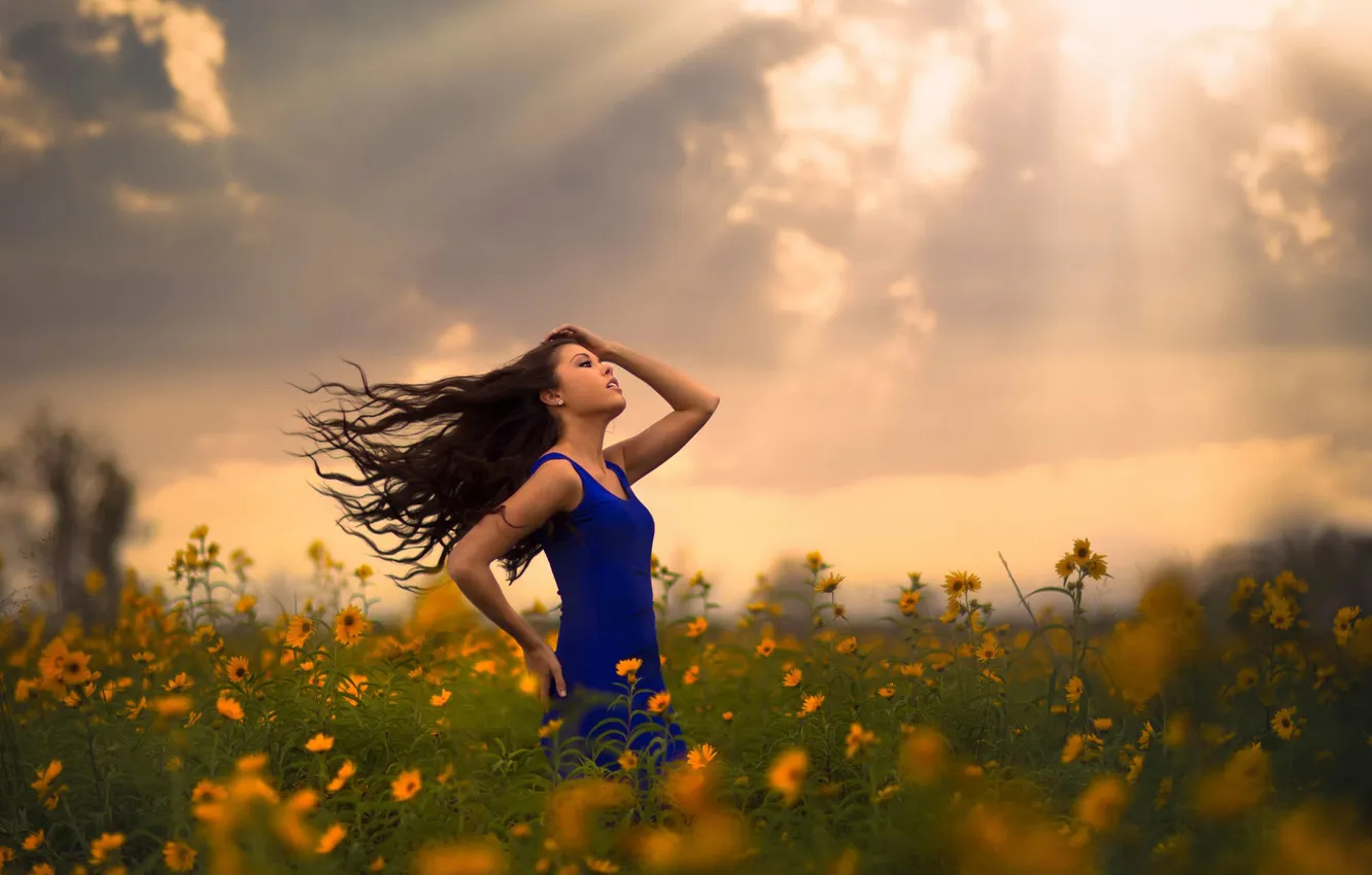 Photo wallpaper field, girl, flowers, the sun's rays