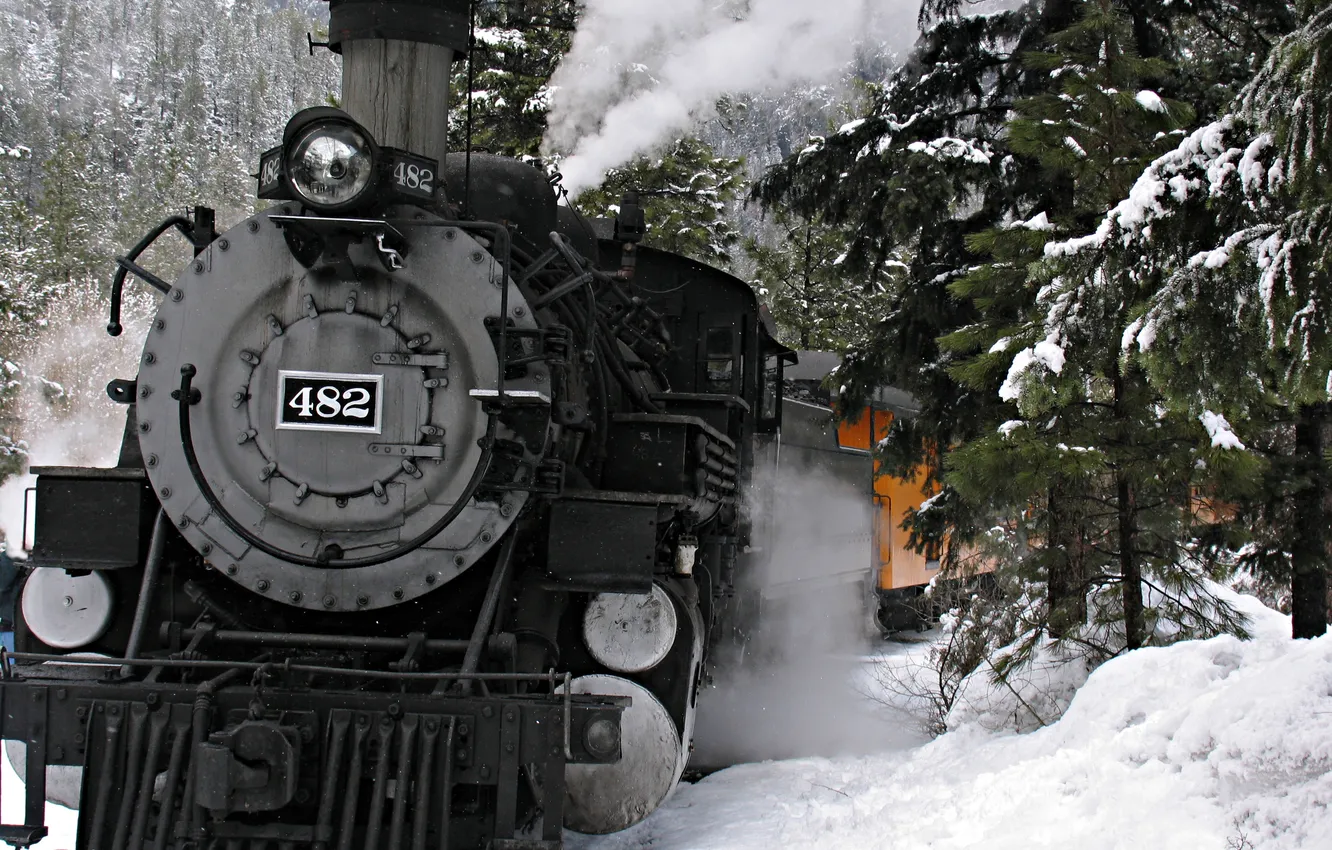 Photo wallpaper winter, forest, snow, trees, mountains, movement, the engine, cars