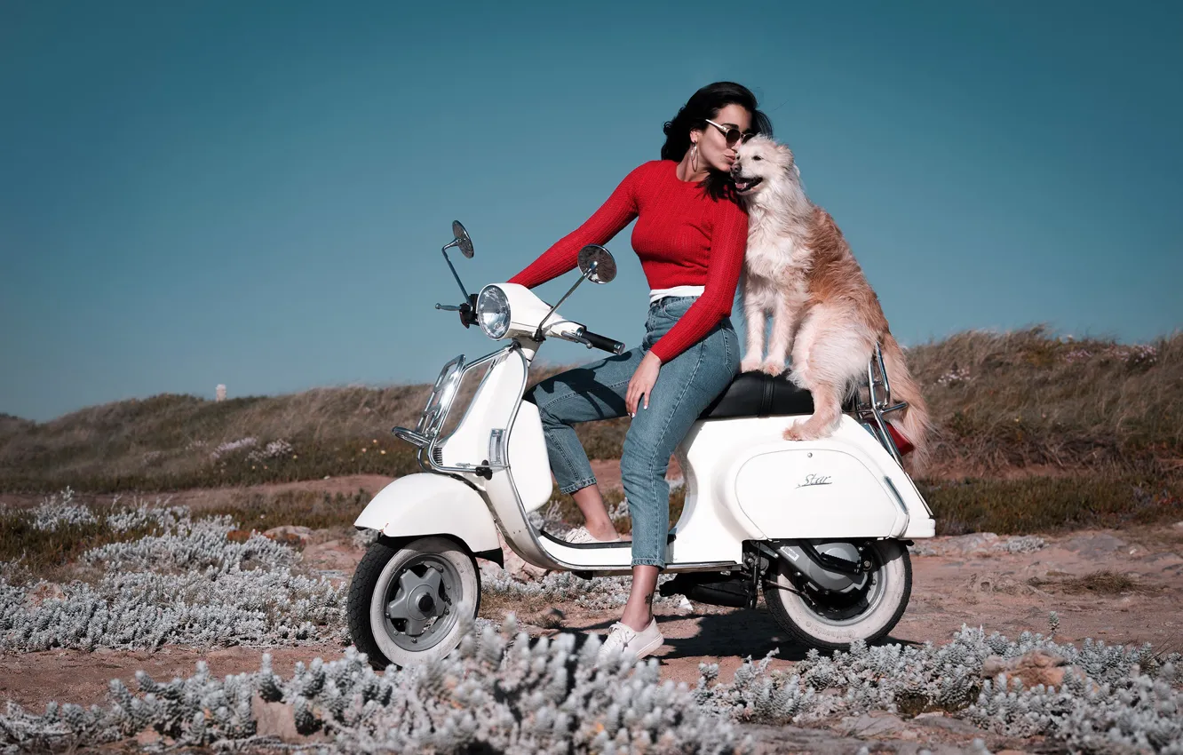 Photo wallpaper girl, mood, coast, dog, jeans, friends, scooter, scooter