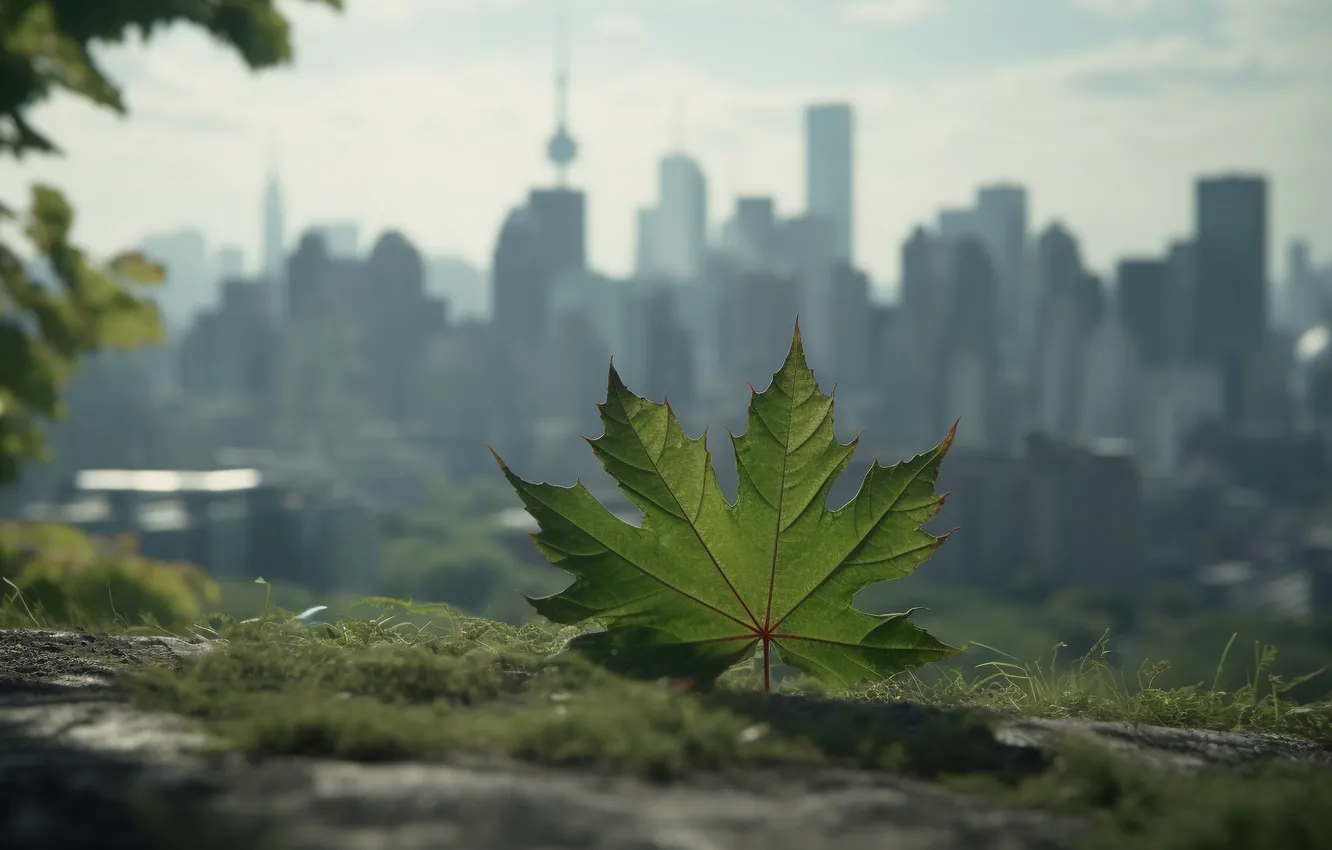 Photo wallpaper leaves, the city, green, fog, leaf, dal, skyscrapers, haze