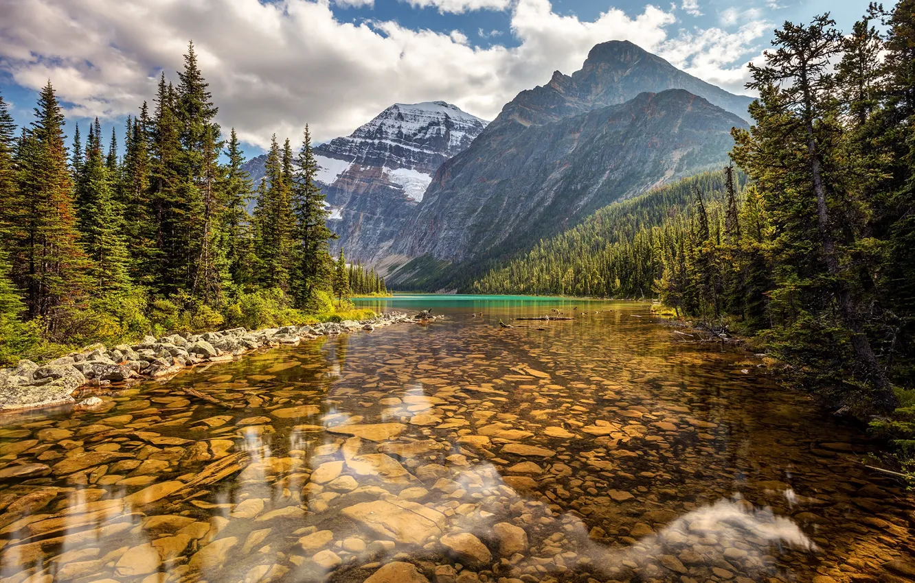 Photo wallpaper forest, trees, mountains, lake, Canada, Albert, Alberta, Canada