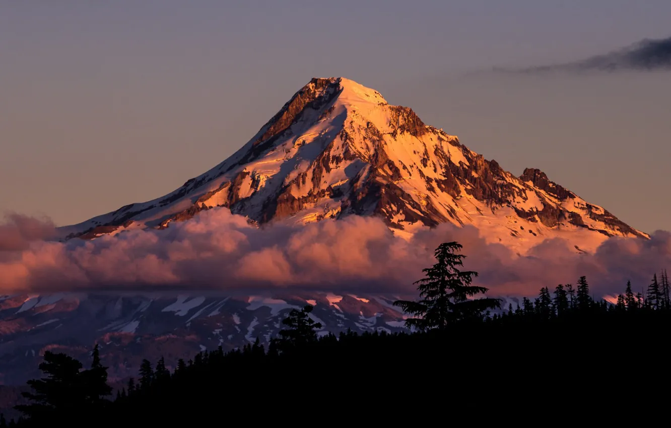 Photo wallpaper the sky, clouds, snow, trees, sunset, mountains, nature, rocks
