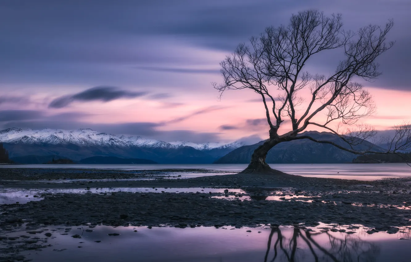 Photo wallpaper clouds, sunset, mountains, lake, tree, the evening, New Zealand, twilight
