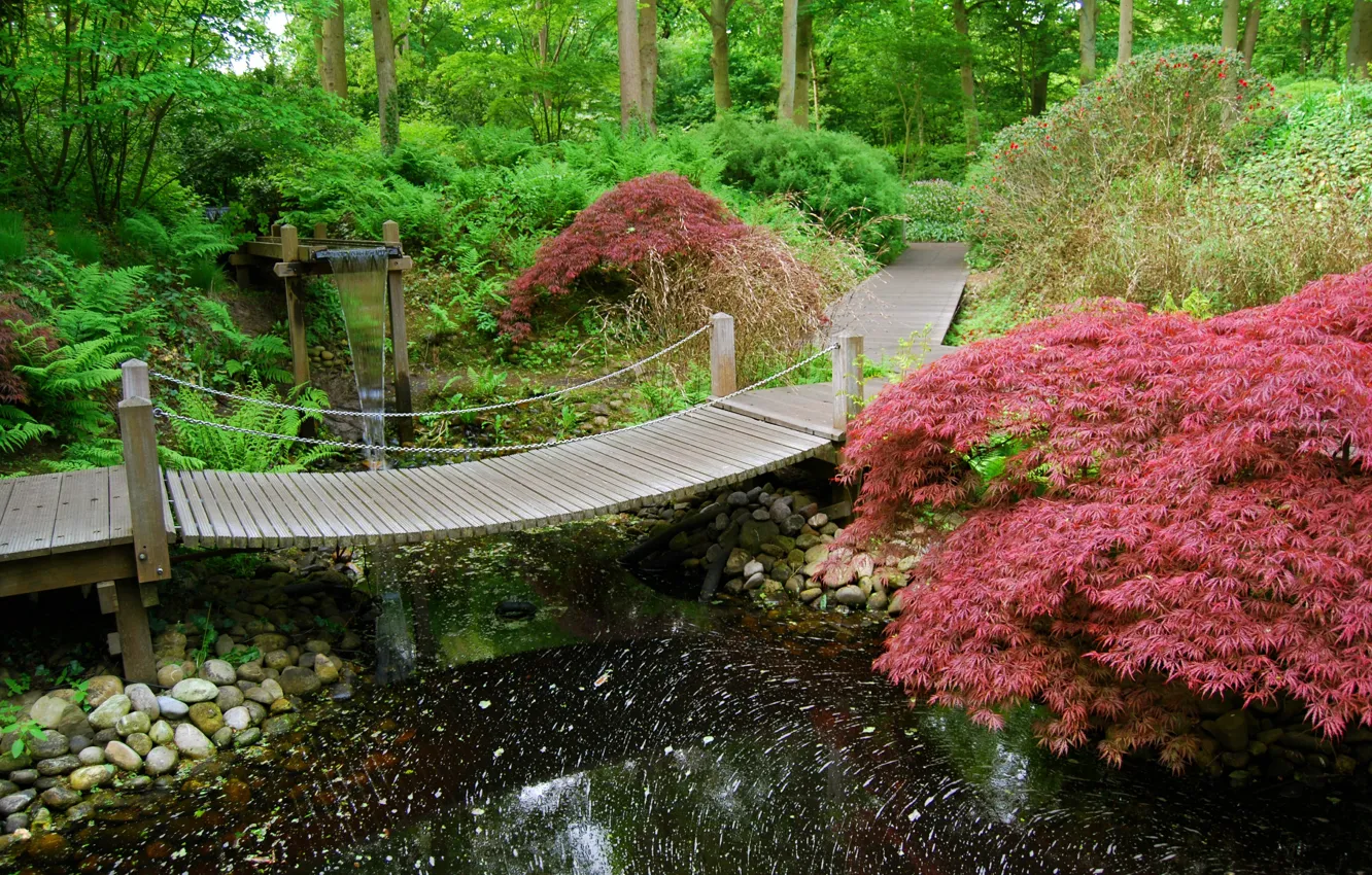 Photo wallpaper summer, water, Park, stones, green, Japan, garden, track