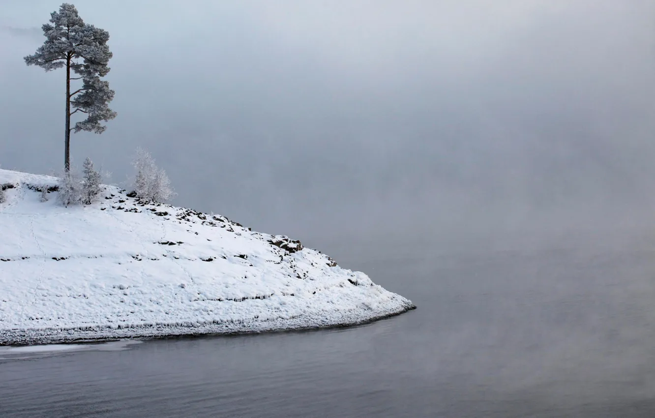 Photo wallpaper winter, frost, water, snow, fog, river, island, pine