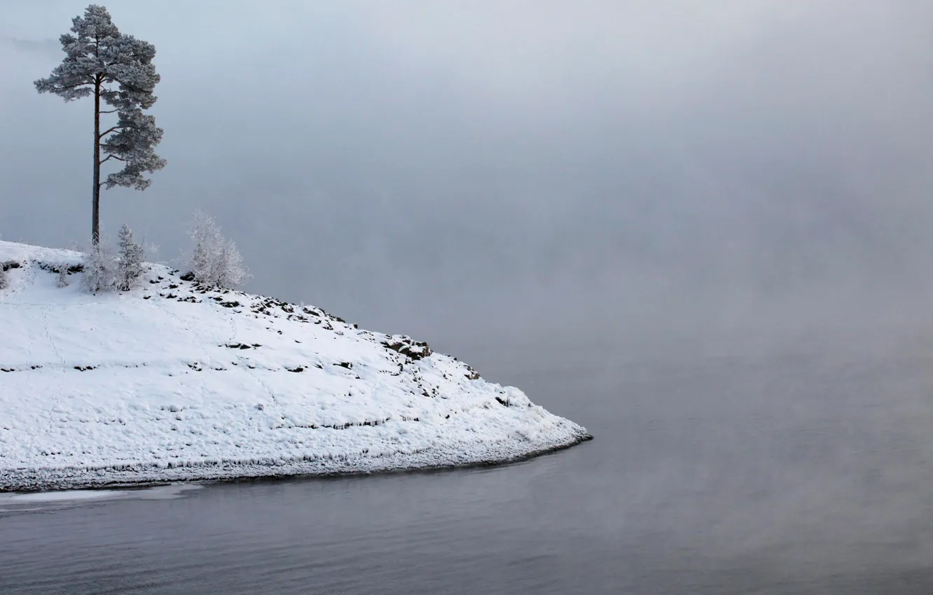 Photo wallpaper frost, water, snow, fog, river, island, Winter, pine