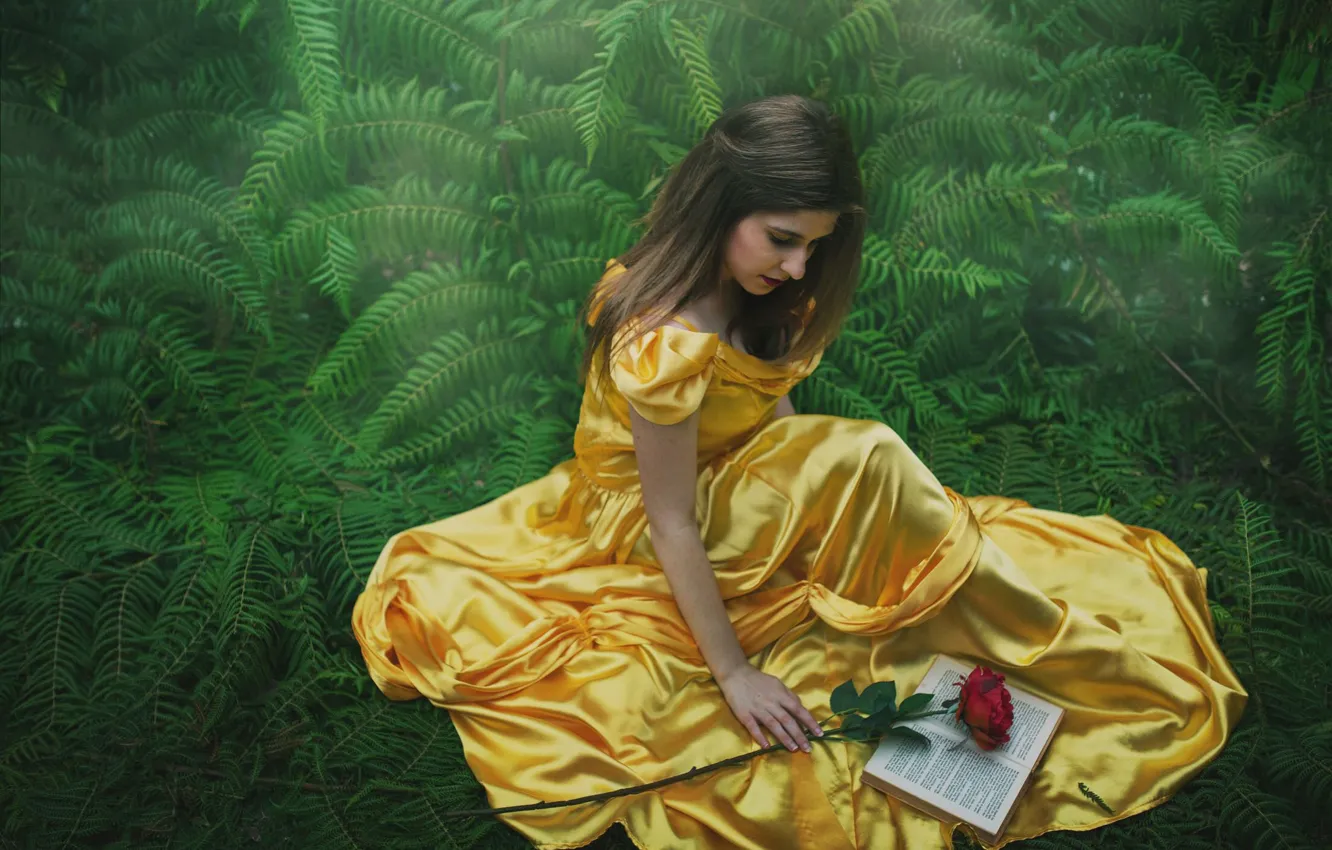 Photo wallpaper girl, nature, pose, roses, dress, book, brown hair, Alex Benetel