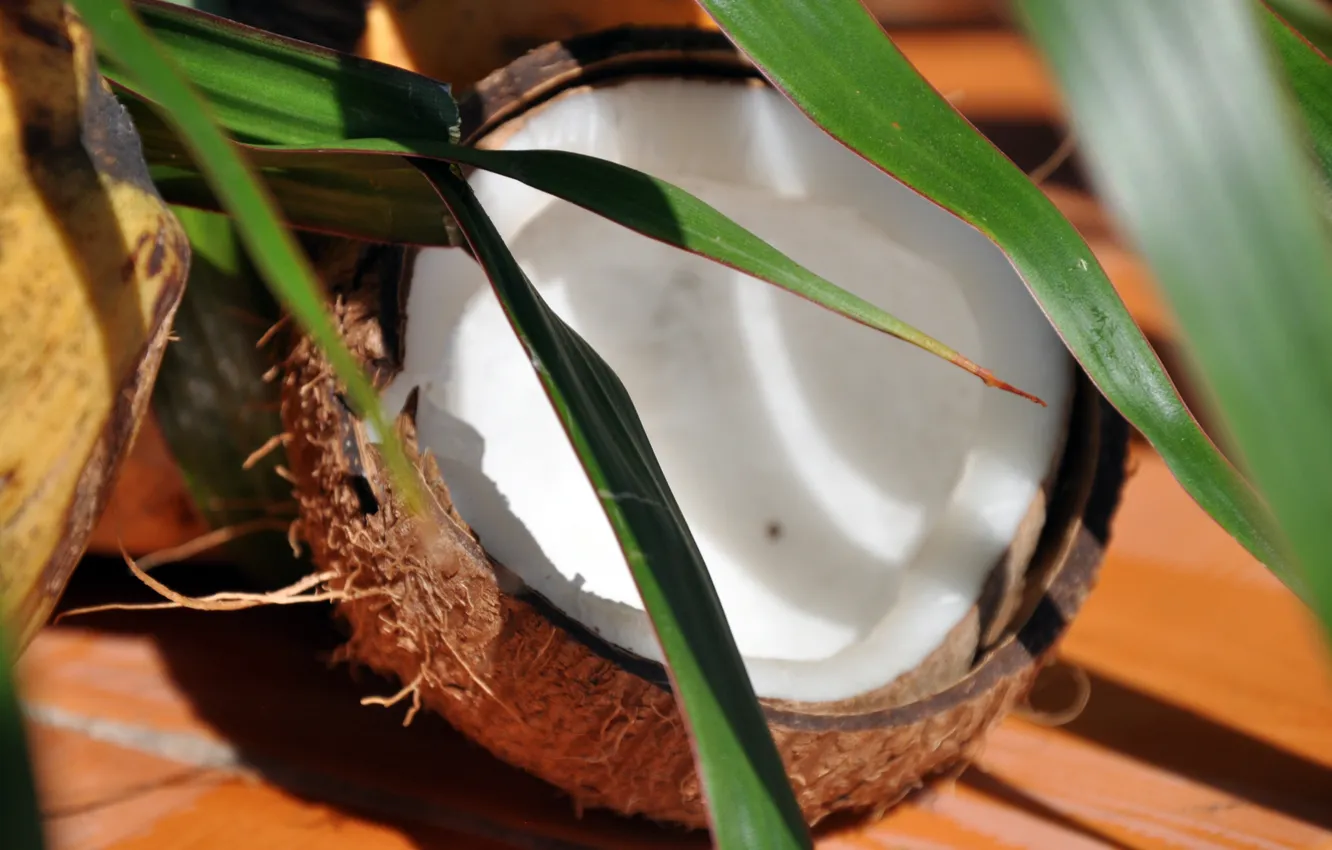 Photo wallpaper nature, Cuba, food, coconut