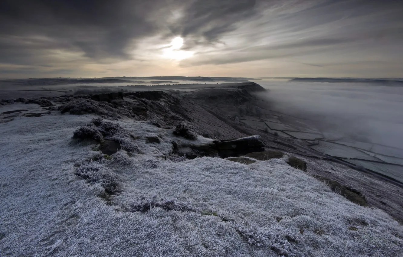 Photo wallpaper field, landscape, fog, the evening