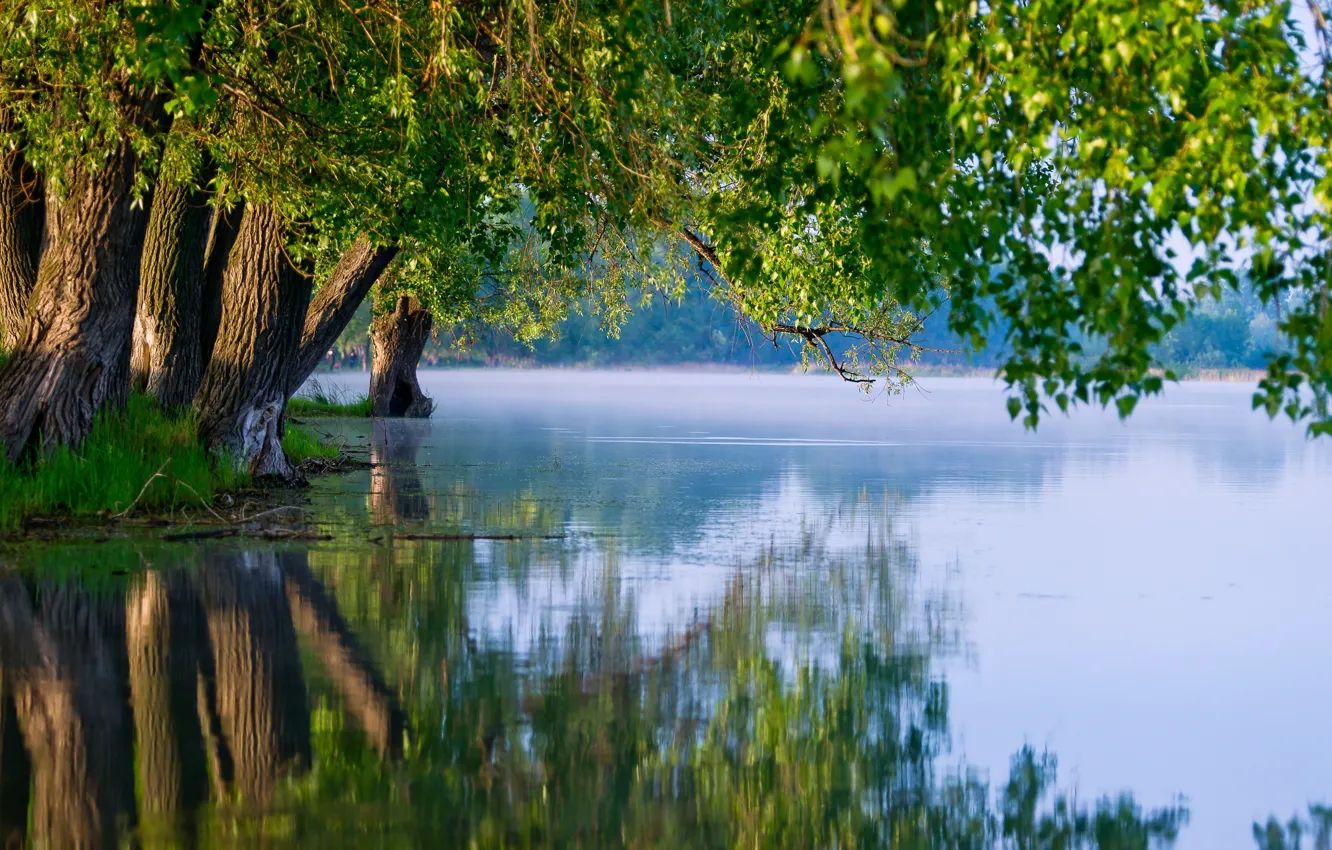Photo wallpaper summer, trees, nature, lake, reflection