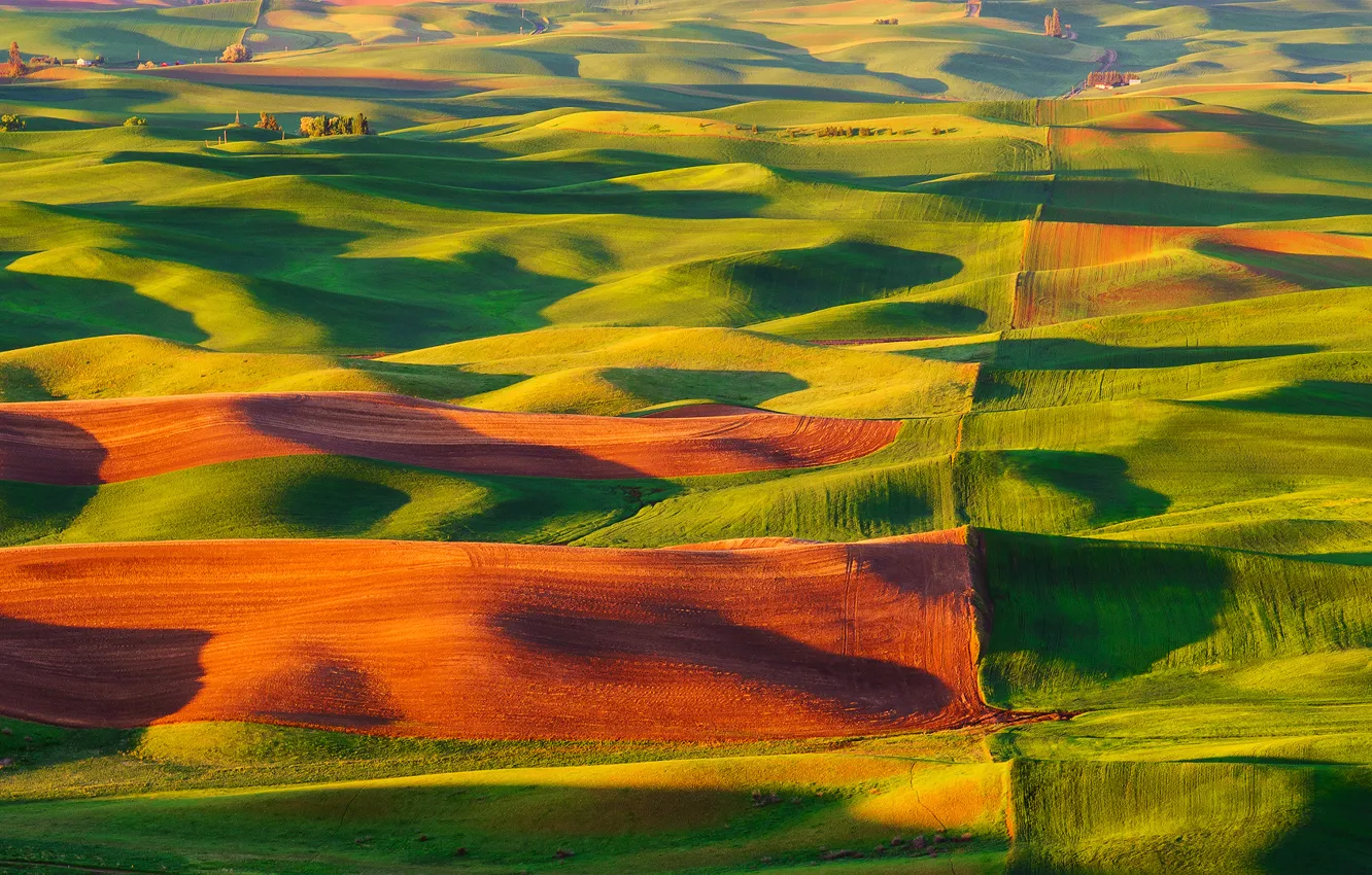 Photo wallpaper nature, hills, field, valley, USA, carpets, Steptoe Butte State Park